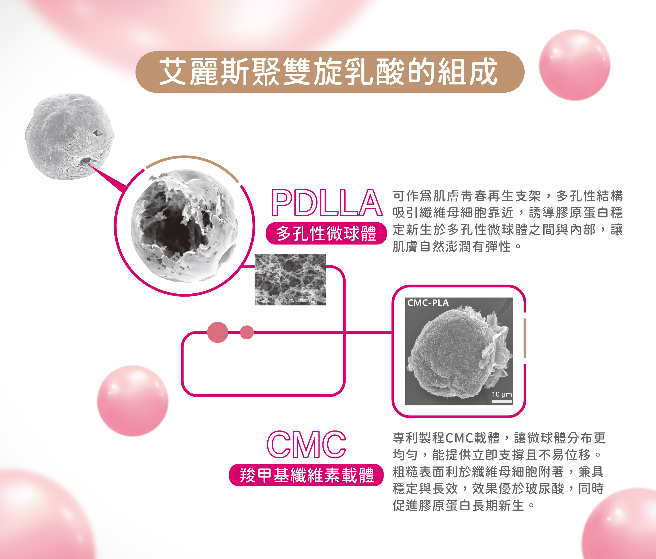 250911 精靈聚雙旋乳酸_BN_精靈聚雙旋乳酸的組成_1280×1092-01